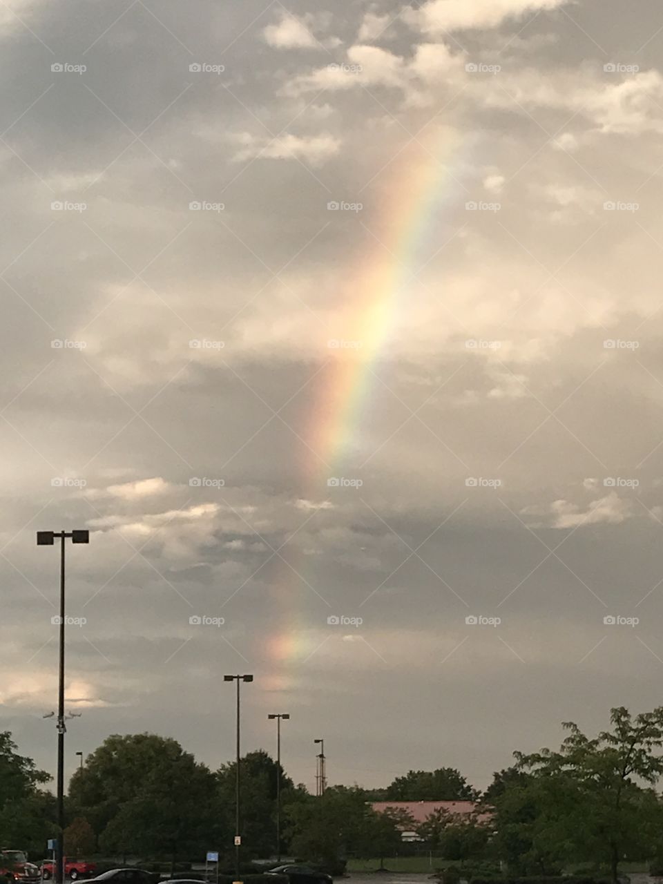 Rainbow from elkton , md