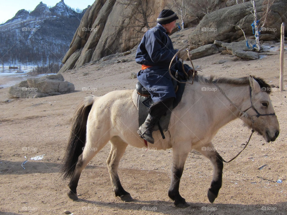 park horse rock national by thepapierdollies