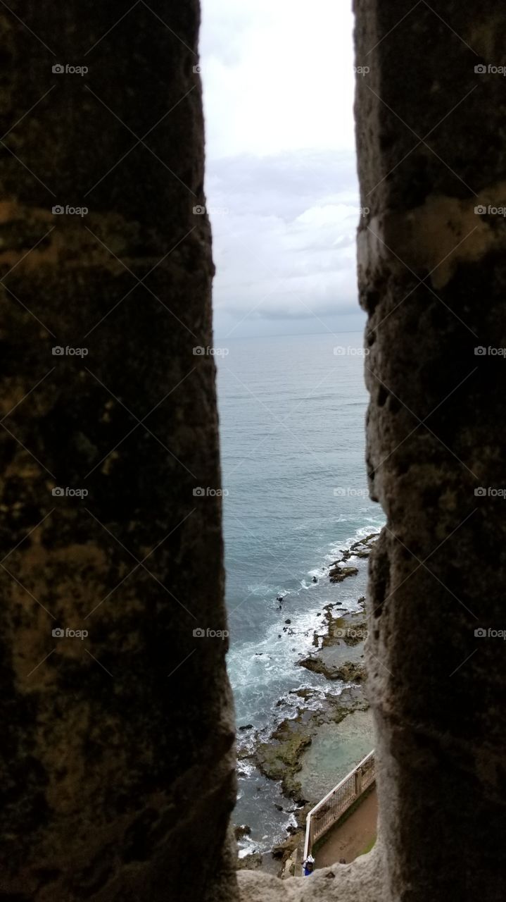 Window to the Ocean