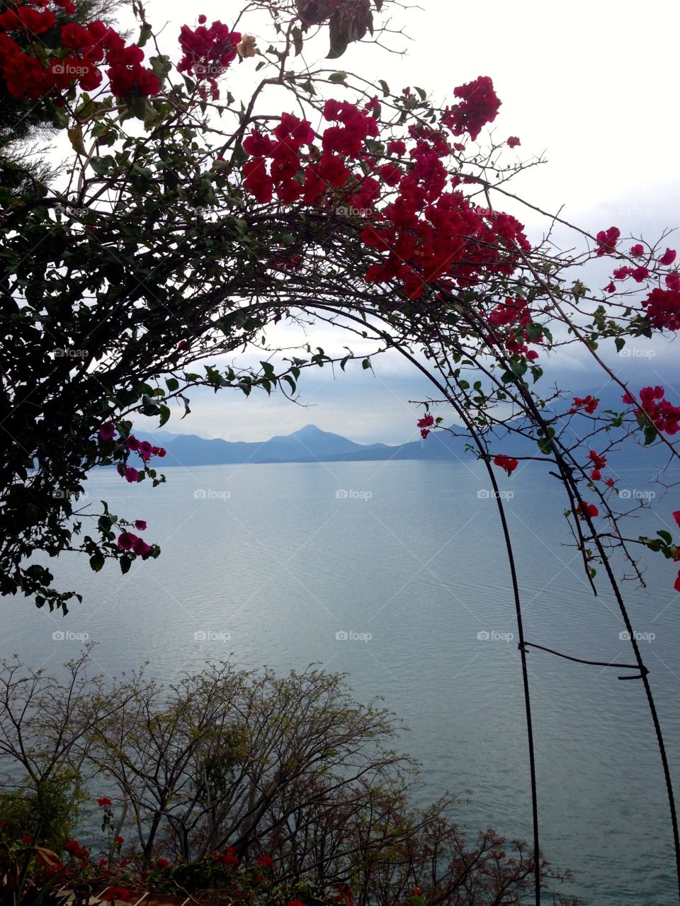 Lake Atitlan. Flower arch at Lake Atitlan