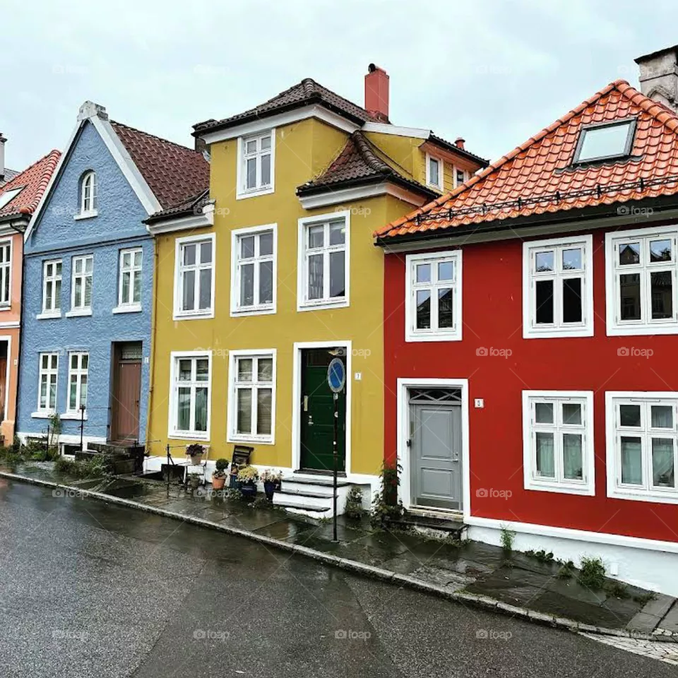 house colors