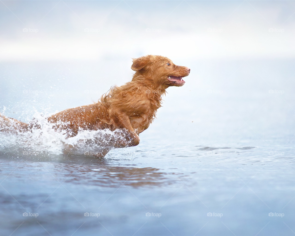 Rush forward bravely