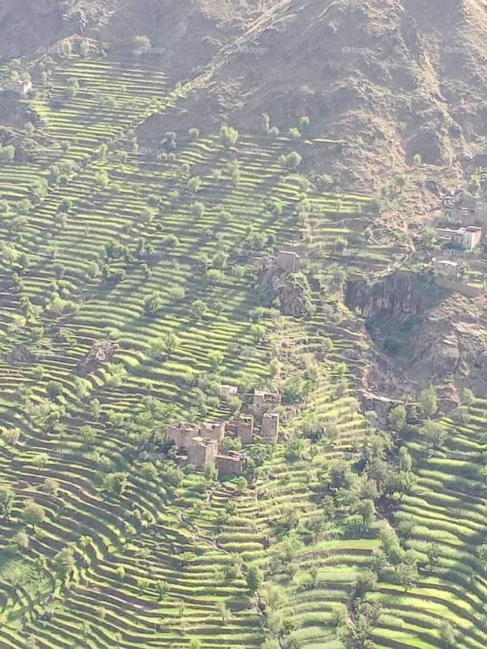 Glory be to God, the magnificent and picturesque view and the natural green trees are a view that is nothing more wonderful than it