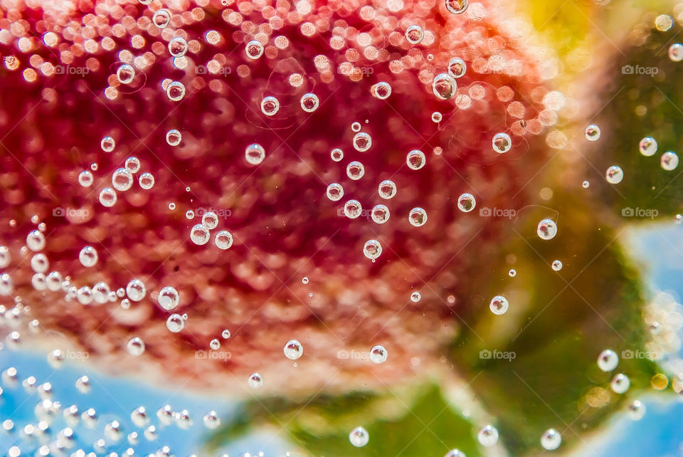 colourful berries 