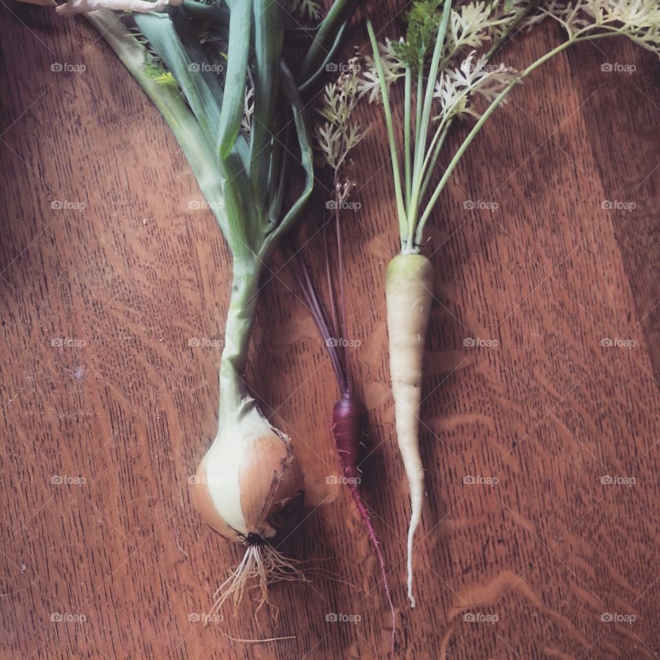 Humble harvest. Humble harvest beginnings from our backyard garden