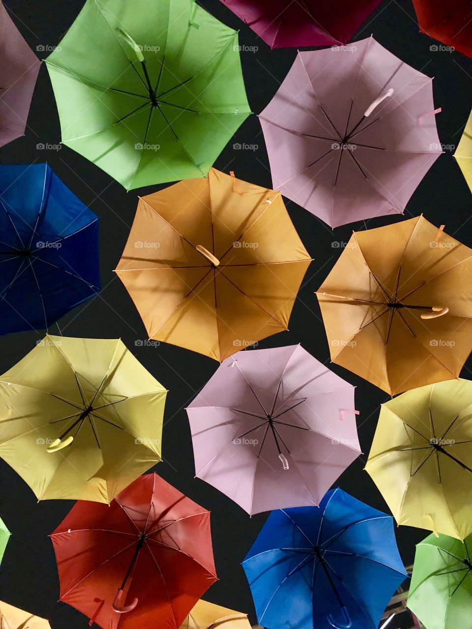 Multi colored umbrellas hanging seen from below 