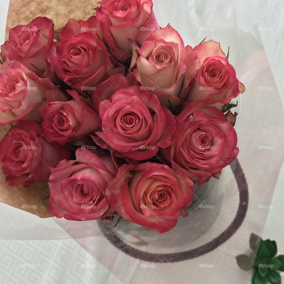 A bouquet of beauiful pink roses with a green plant on the side.