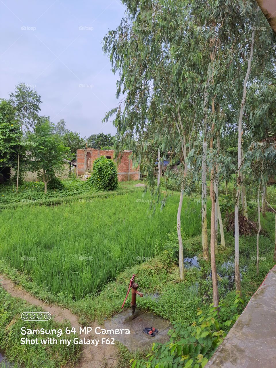 how much do you like this picture