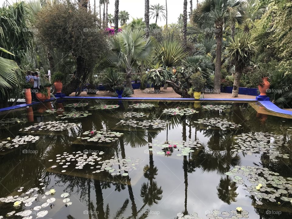 Garden Majorele, Marrakech 