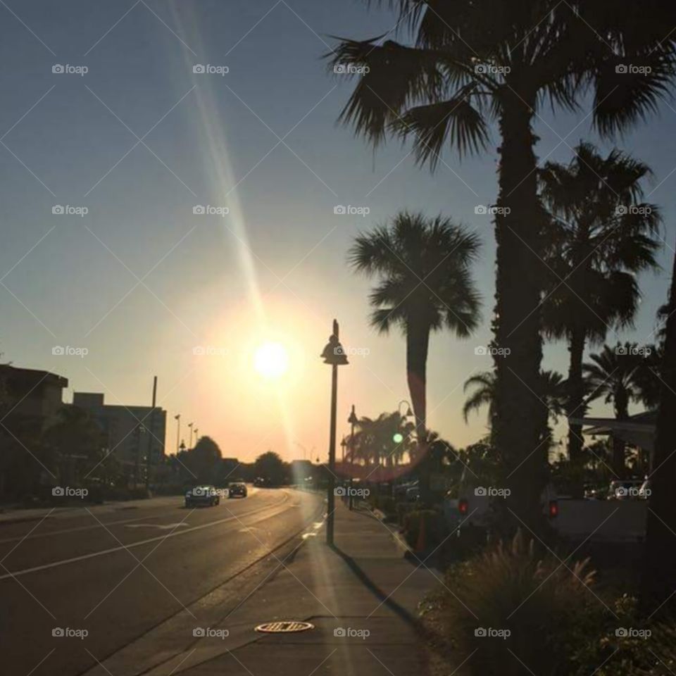 Street Clearwater sunset