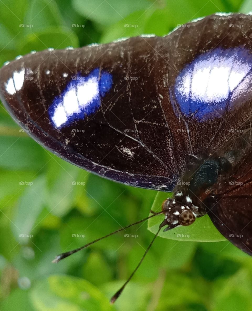 The art of the amazing God