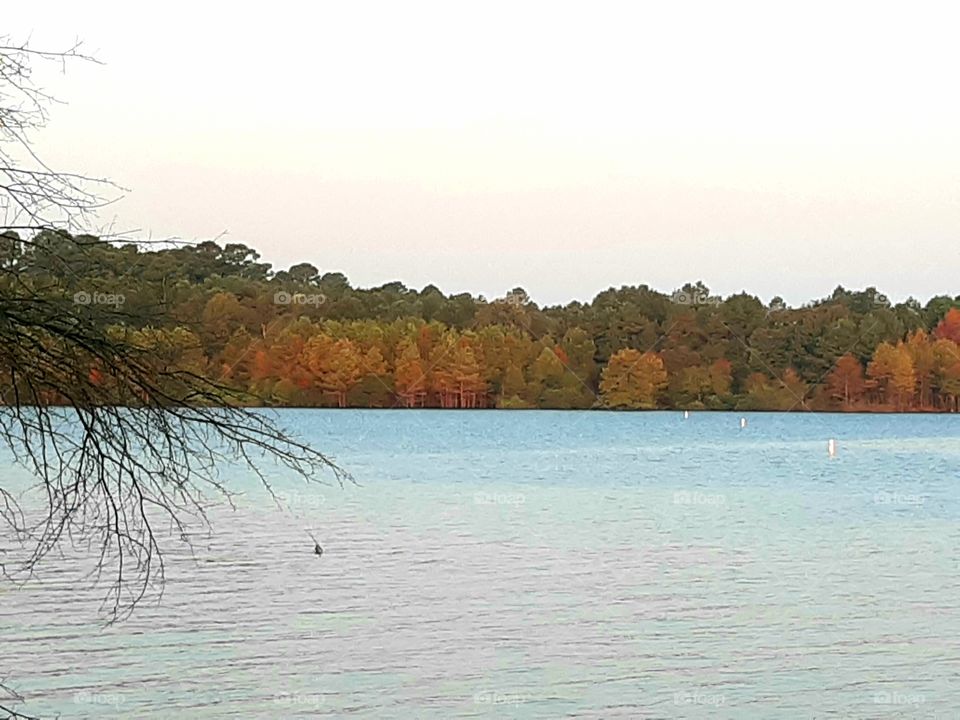 signs that Fall is near with trees changing colors across the lake