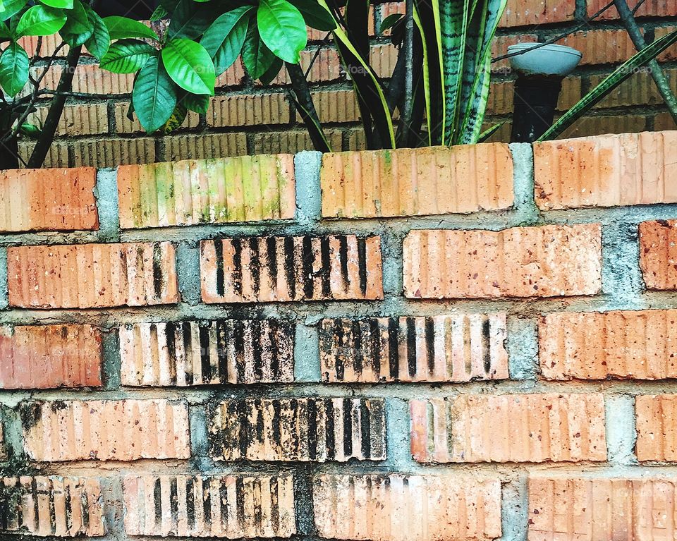 Red brick wall in garden