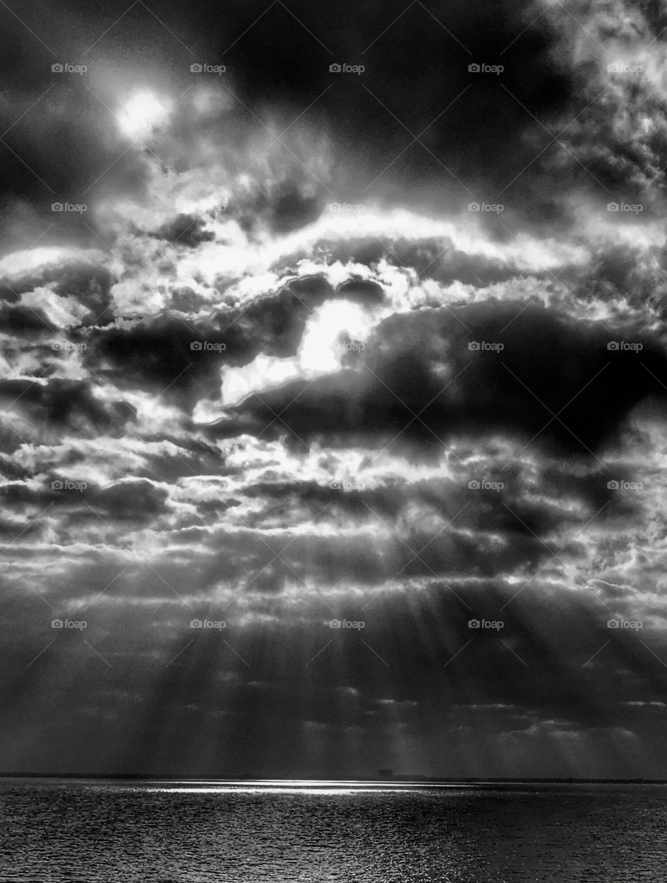 Black and white sun rays. 