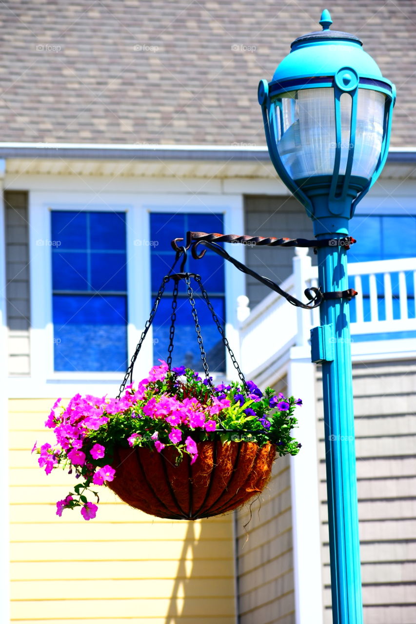 basket of pink and purple flowers hanging from a street light.
