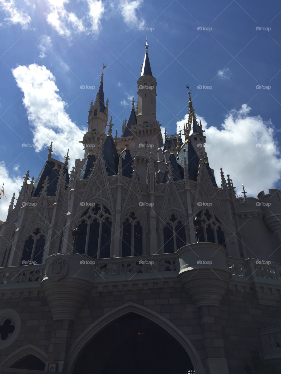 Cinderellas castle Disney