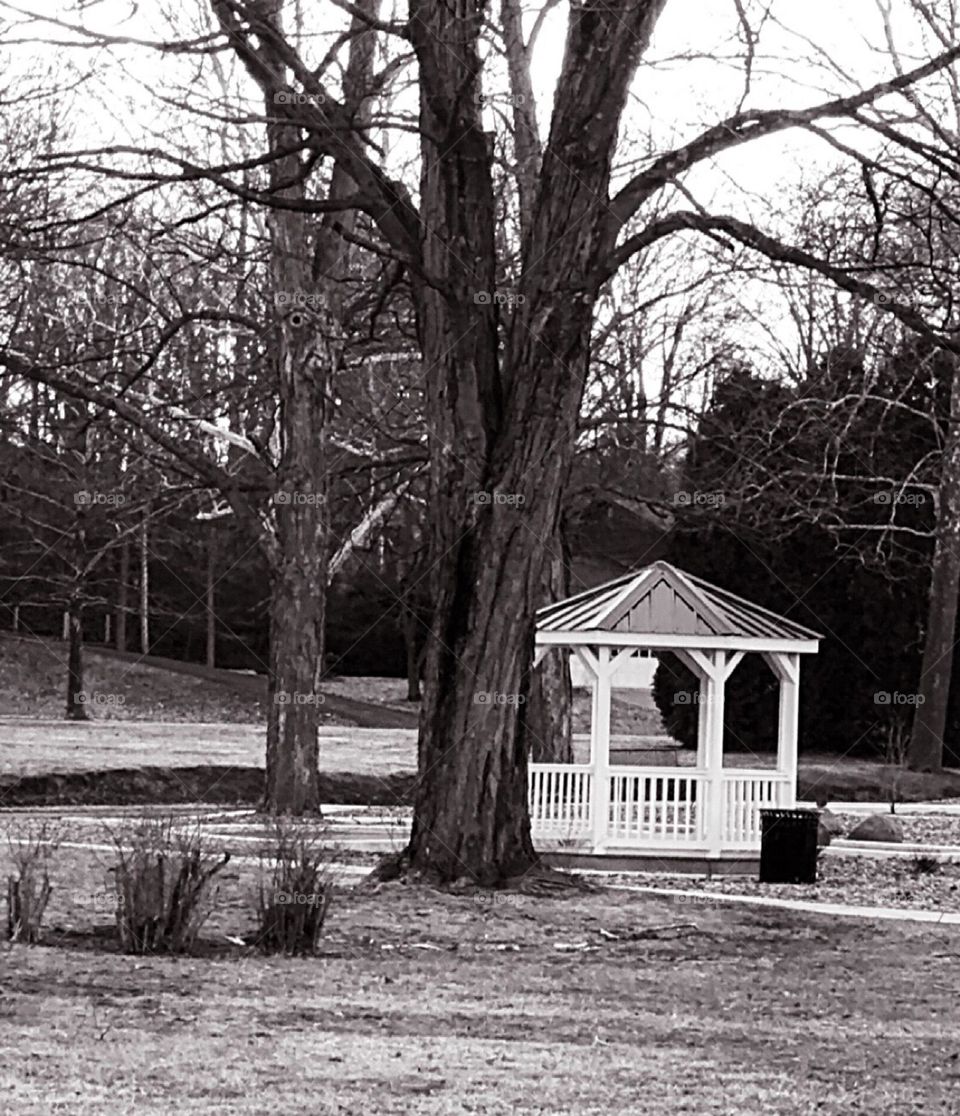 Gazebo and scenery