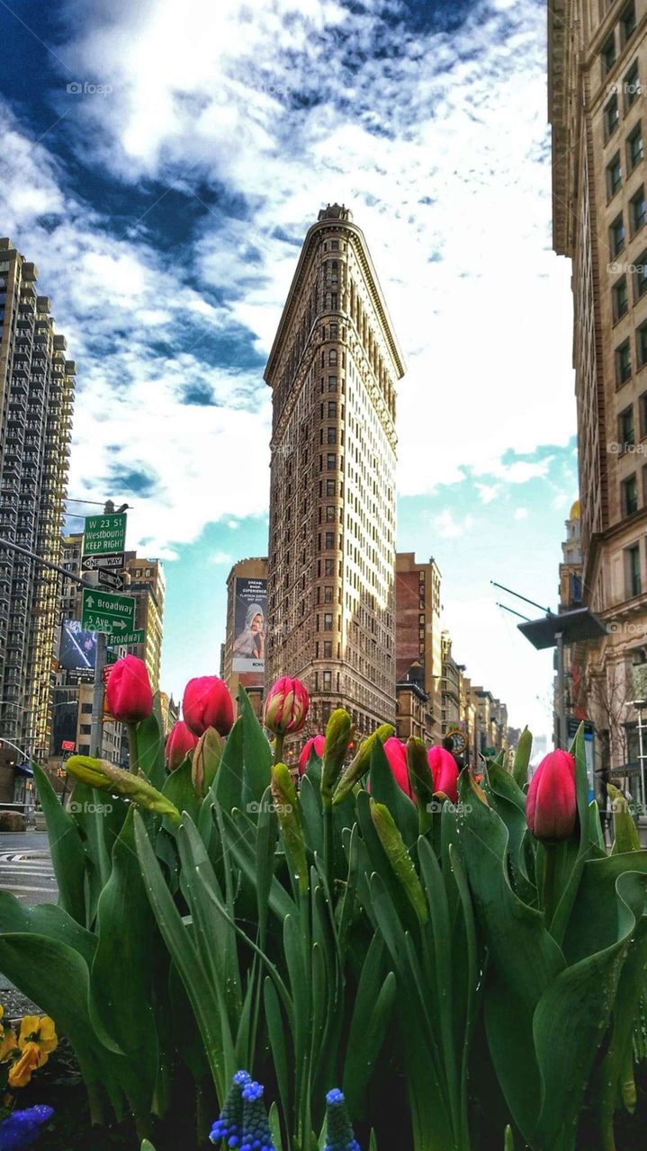 Flatiron Building