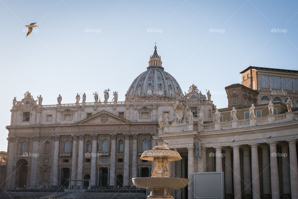 Sunlight on the Vatican 