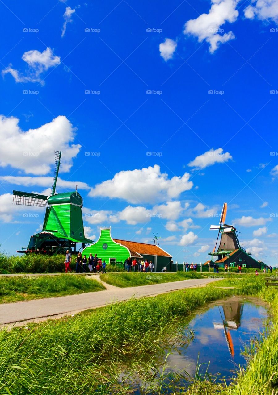 Traditional Dutch windmills