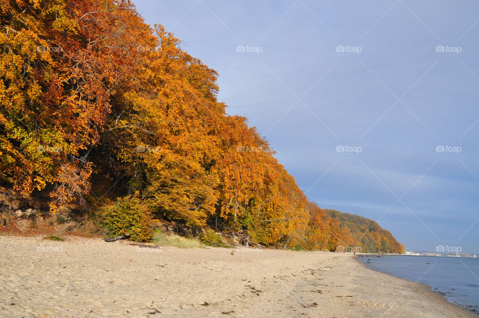 View of beach in autumn