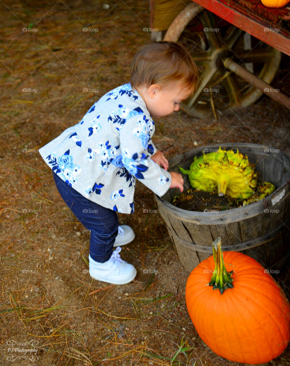 Farmer's market. toddler at local farmer's market