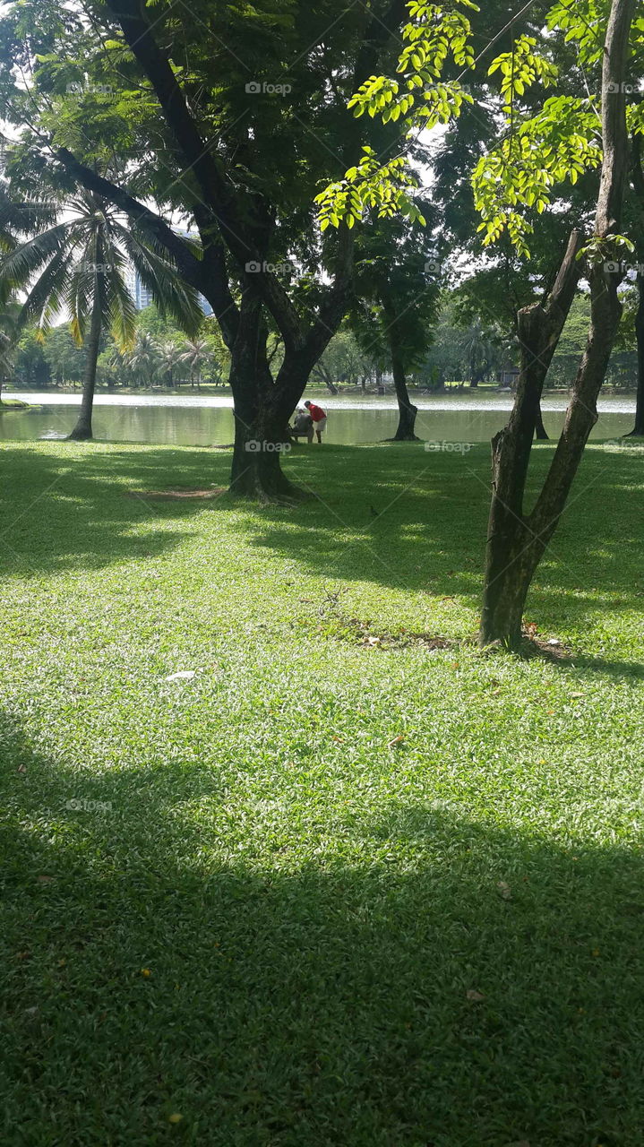 Still a lazy day at Lumpini park Bangkok