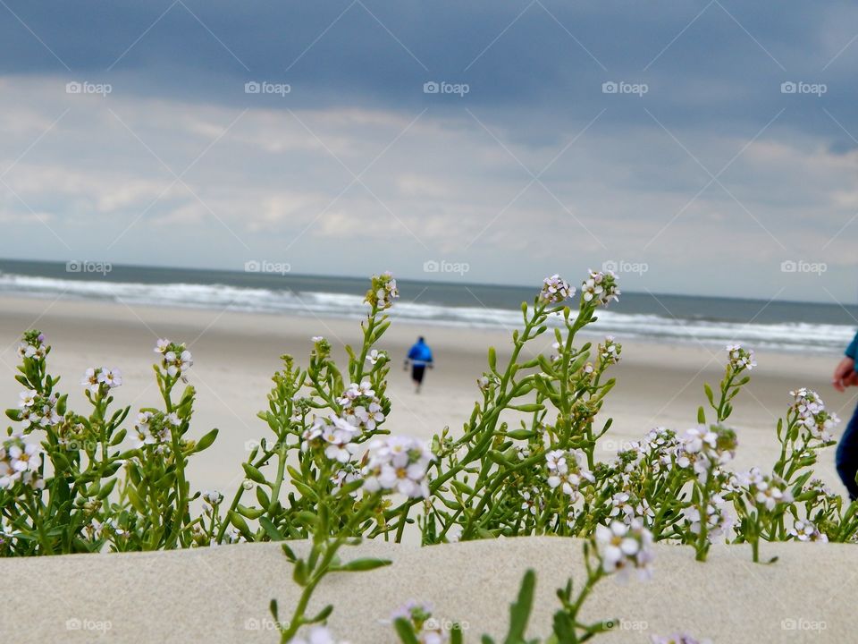 Silence on the beach.