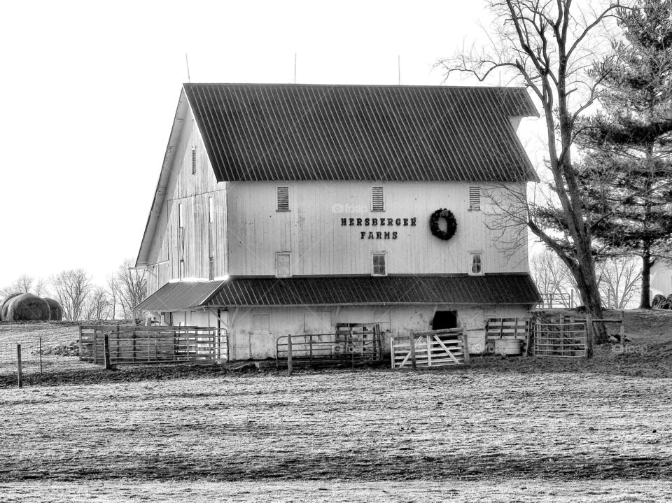 Old Indiana barn in Indiana in black and white on a winter day 