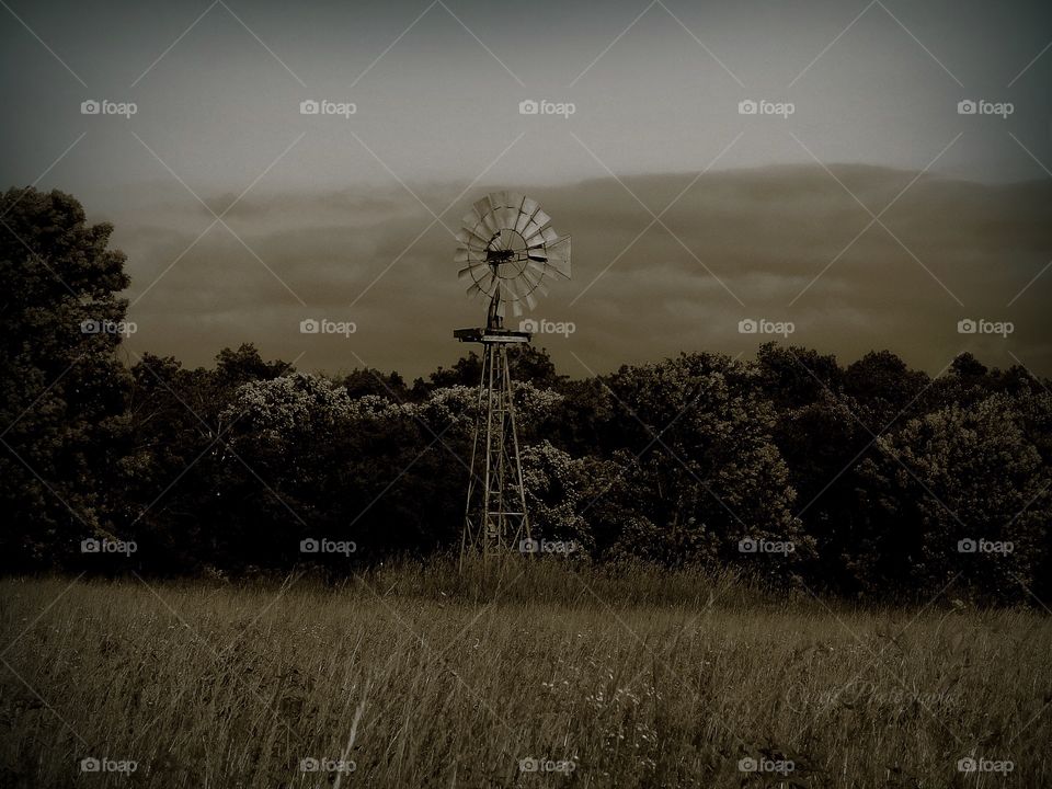 Windmill Springfork Lake