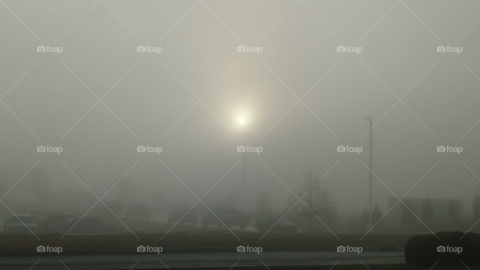 Fog, Sunset, Mist, Sun, Landscape