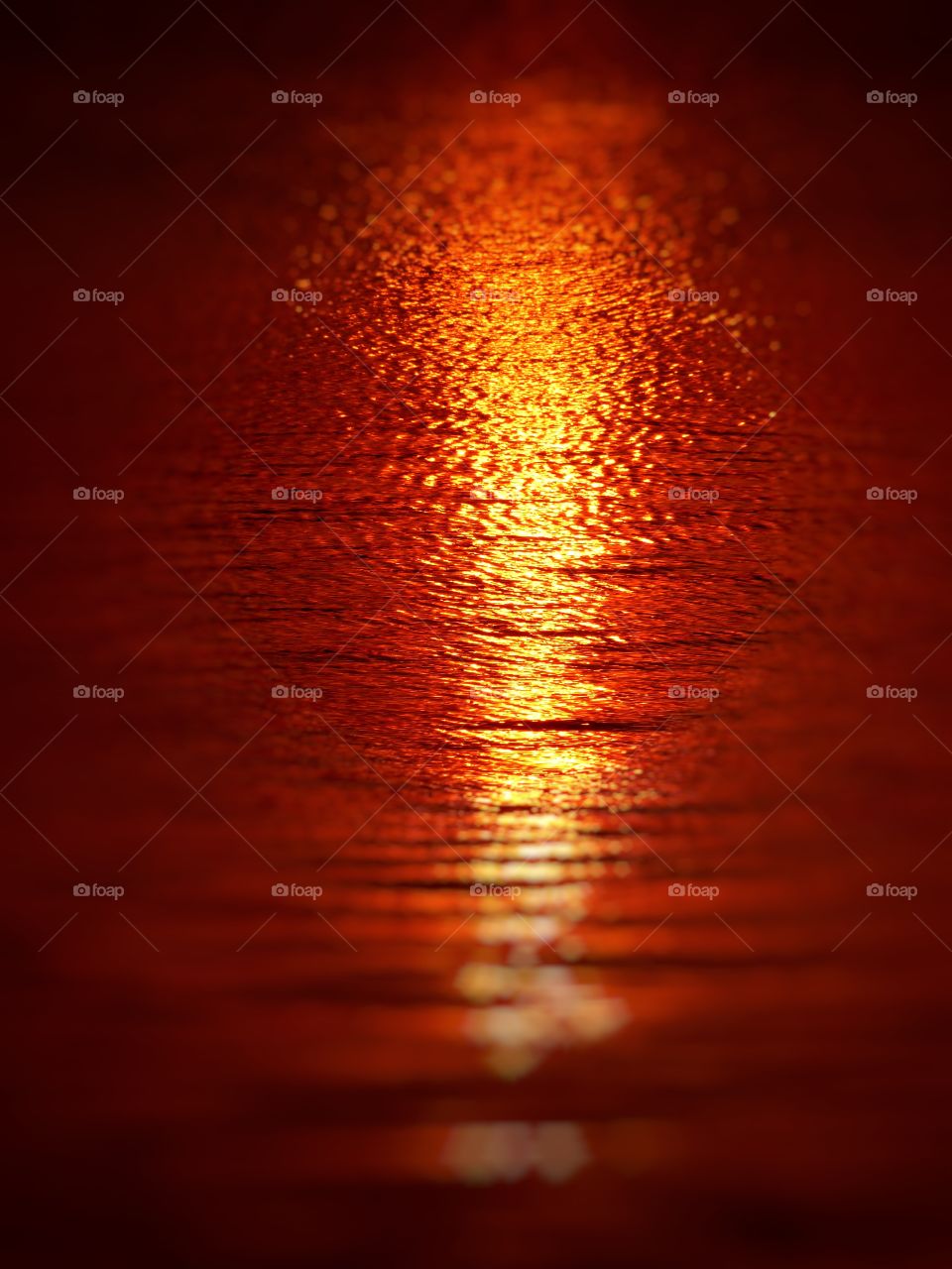 View of the sunset on the lake in Indiana 