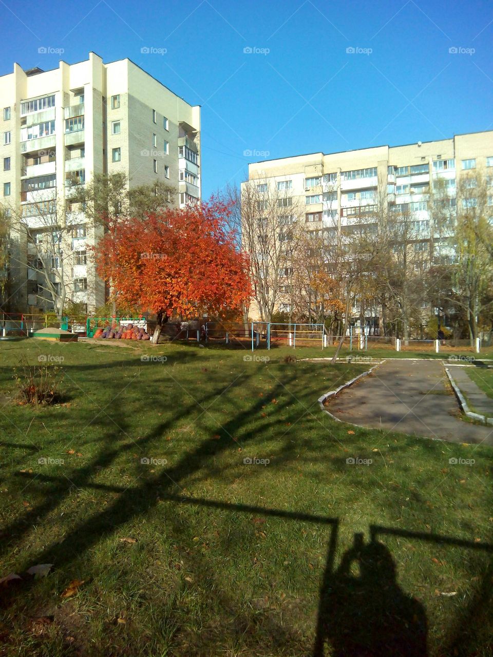 autumn city