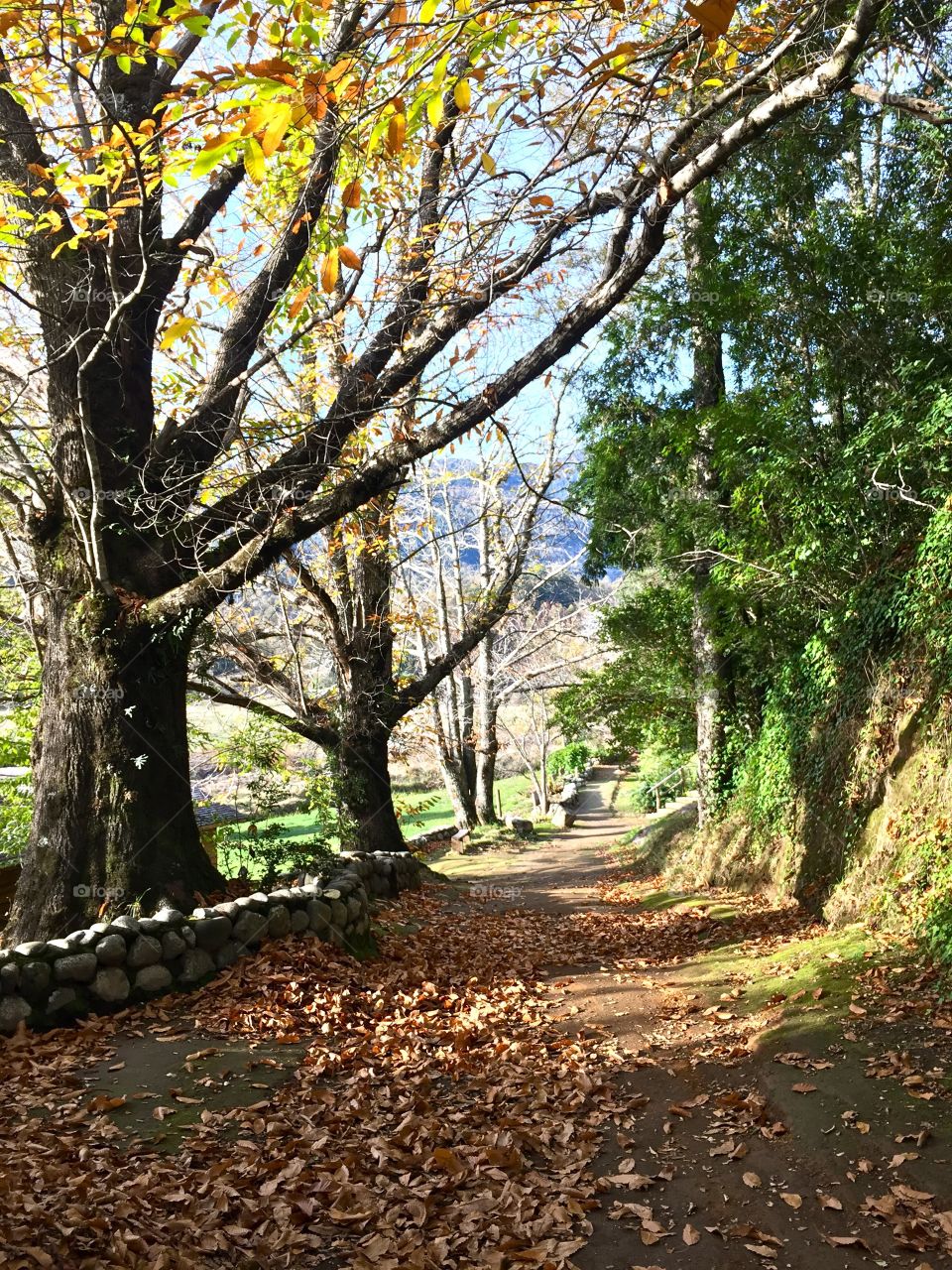 Pucon, Chile