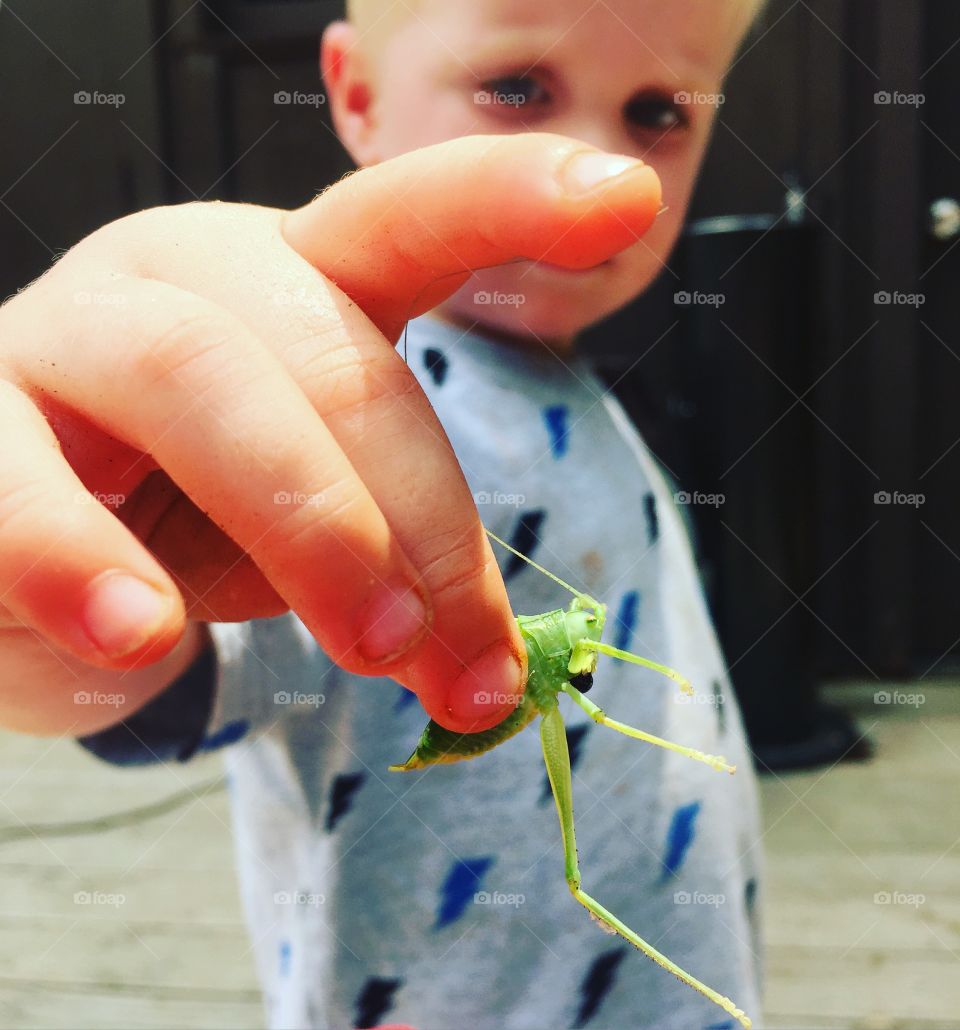 Catching Green Grasshoppers 