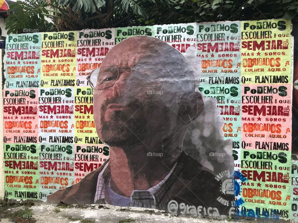 Beautiful street art in Rio de Janeiro, Brazil.