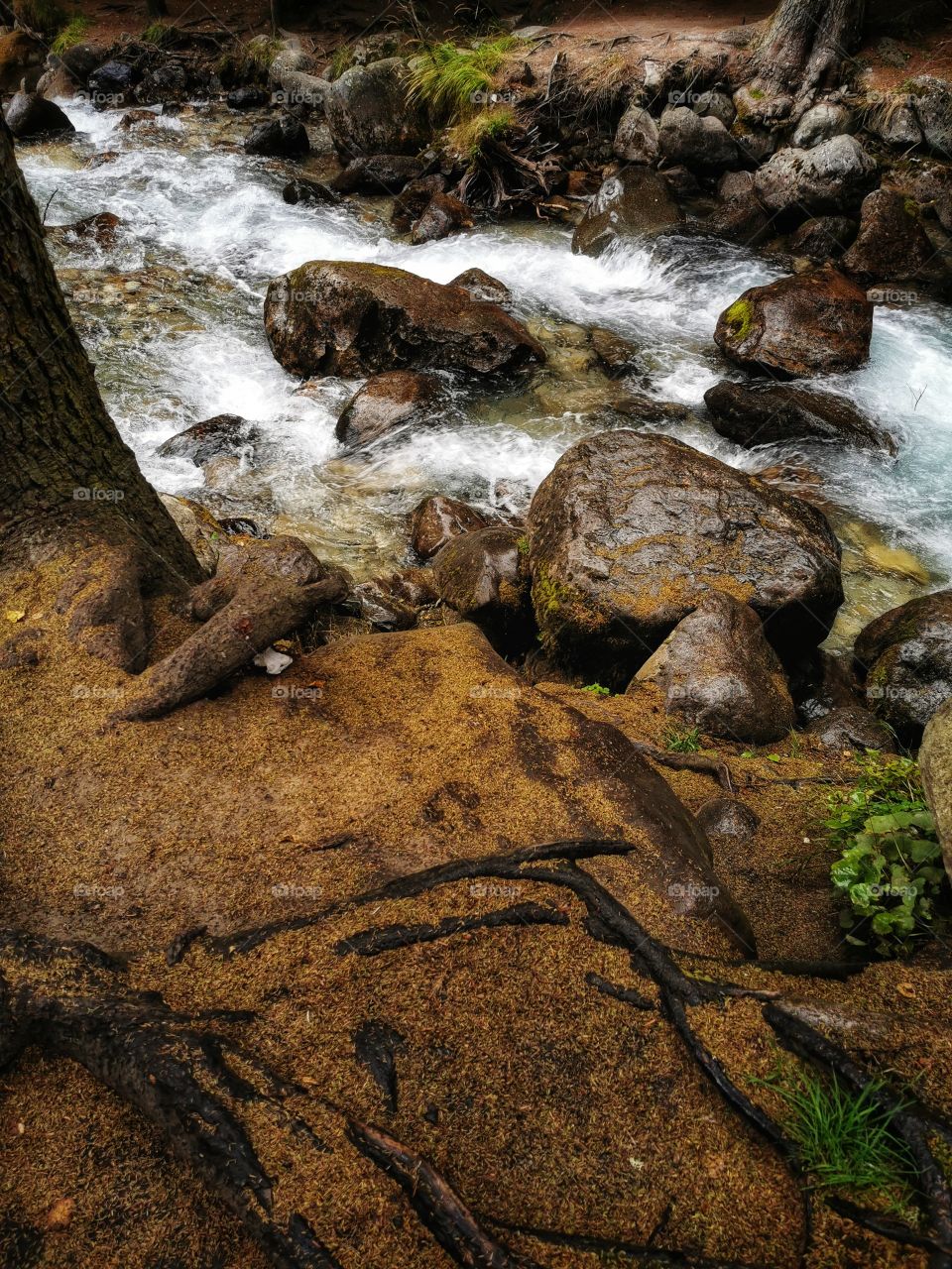 From up to above feet legs mountains hills field nature view eco focus day part sun sunny travel Light reys trip form plant part shades shape beauty greens outdoor freedom happy happiness water river stones soil forest mountains