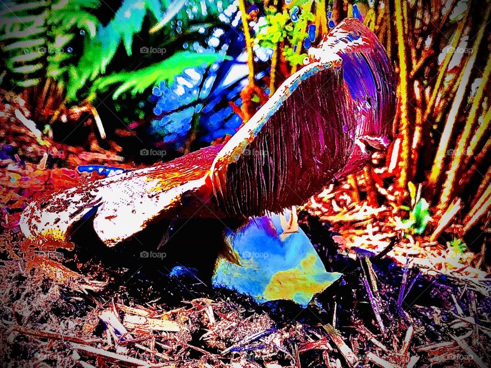 Giant Mushroom 
