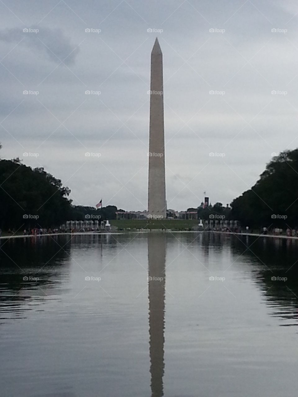 Washington Memorial pool