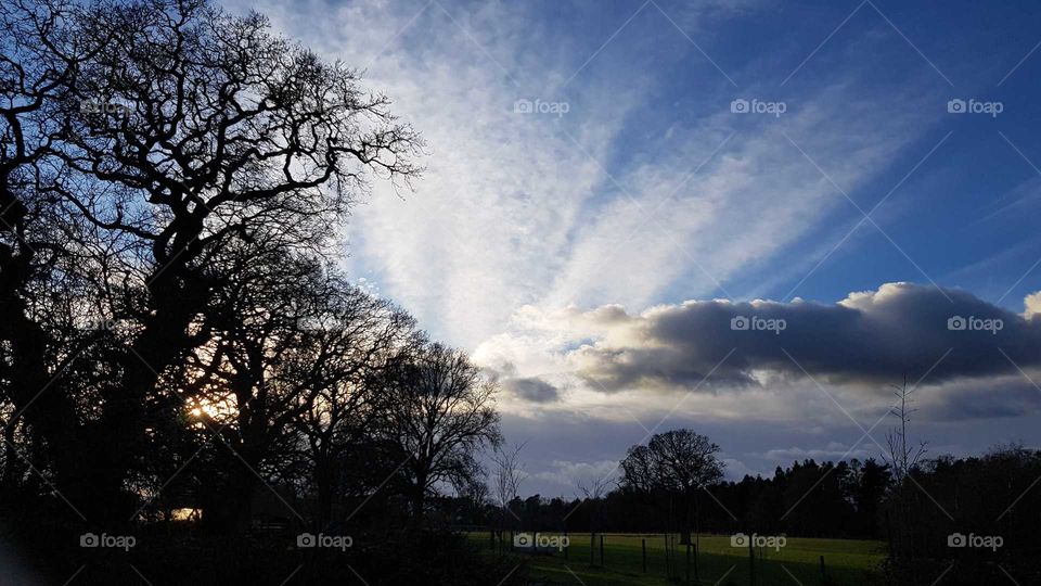 Sky and clouds in January