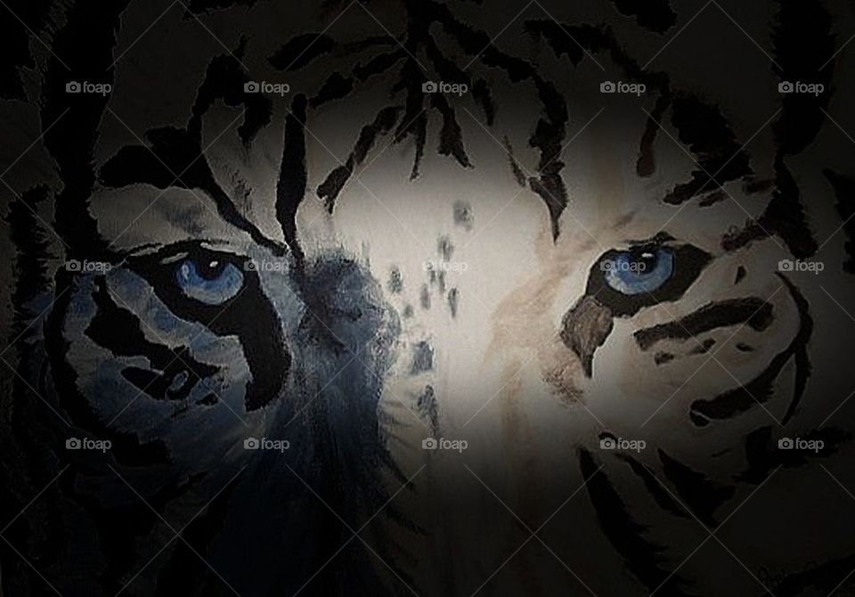 weißer Tiger mit blauen Augen, Focus auf die Augen, Raubtier, durchdringend, wild