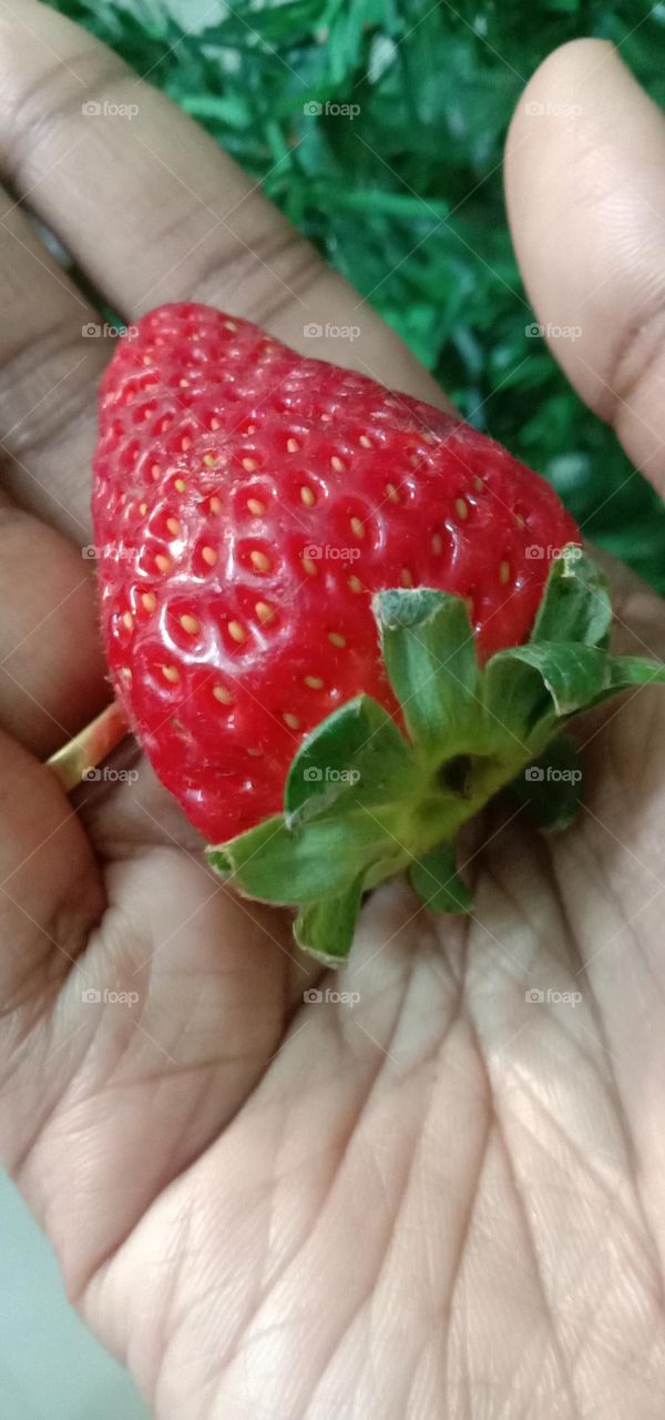 not the fresh one as you see 😌❤️✨