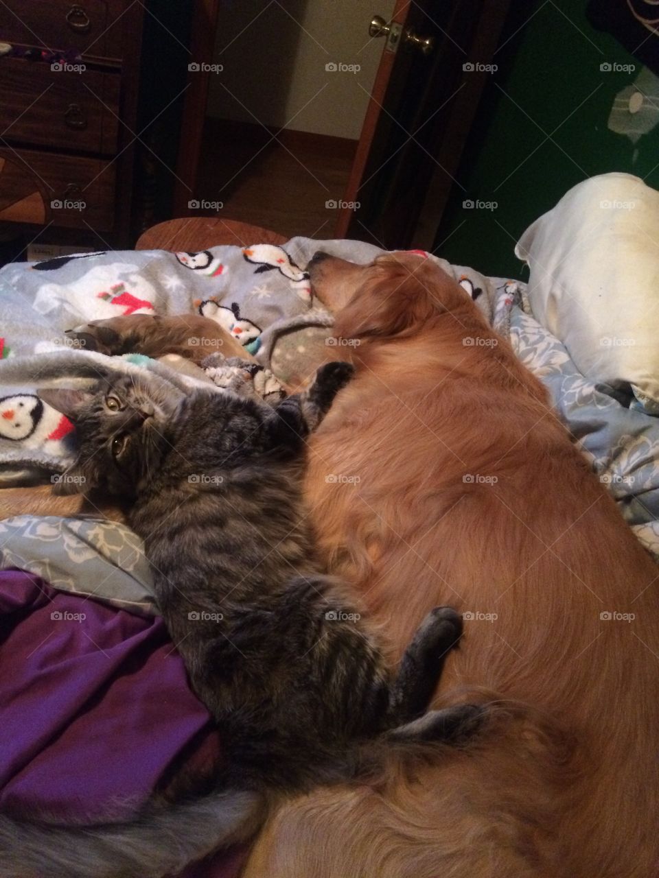They love each other