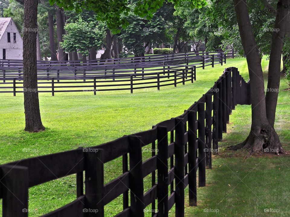 Darley Stables. Home to many equine champions Darley stables in Saratoga Springs, New York. 
Zazzle.com/Fleetphoto