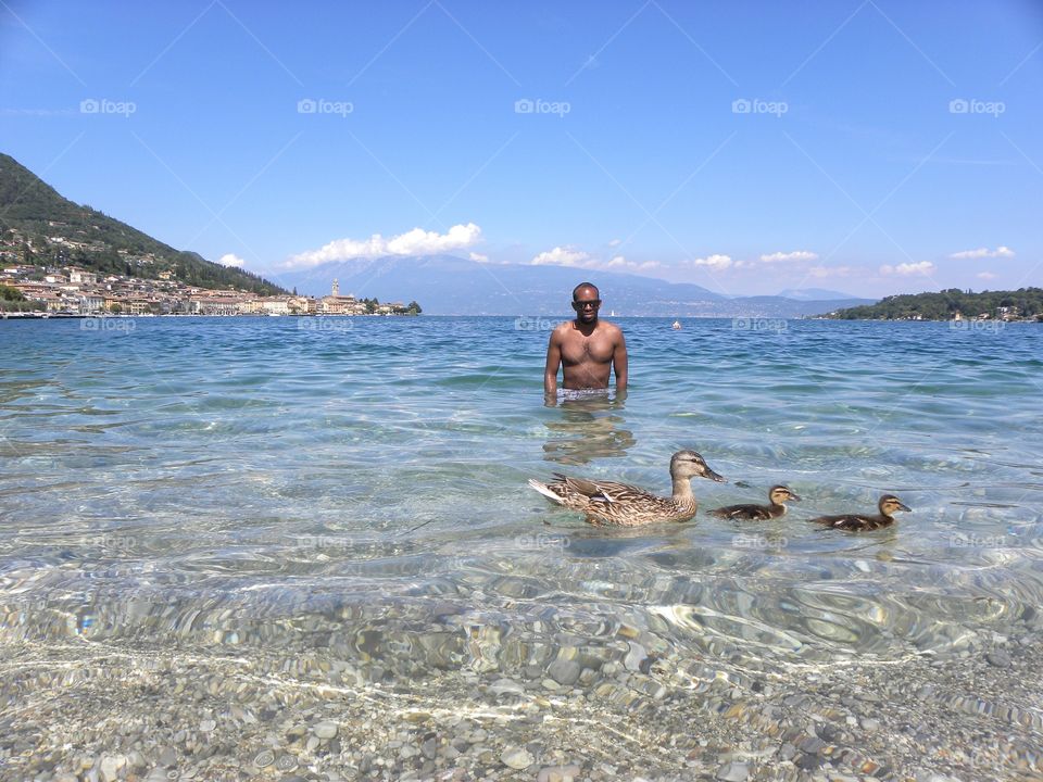 with ducks