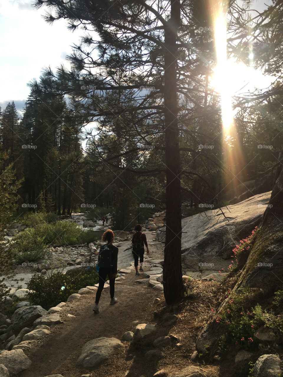 Hiking in sequoia national park 