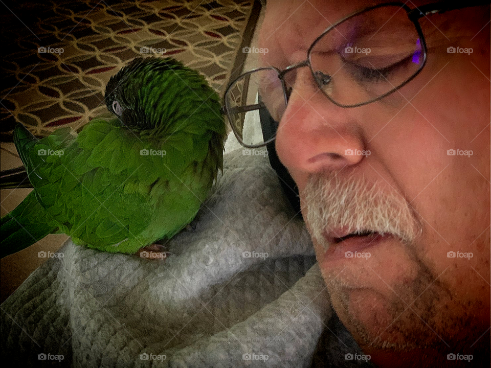 Mustached man with a cute Parrot sound to sleep.