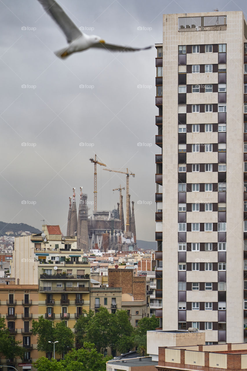 Sagrada Familia