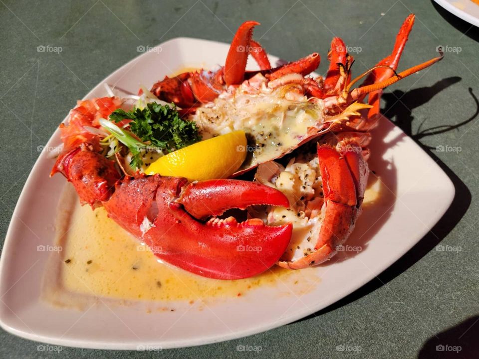 cape cod lobster dinner