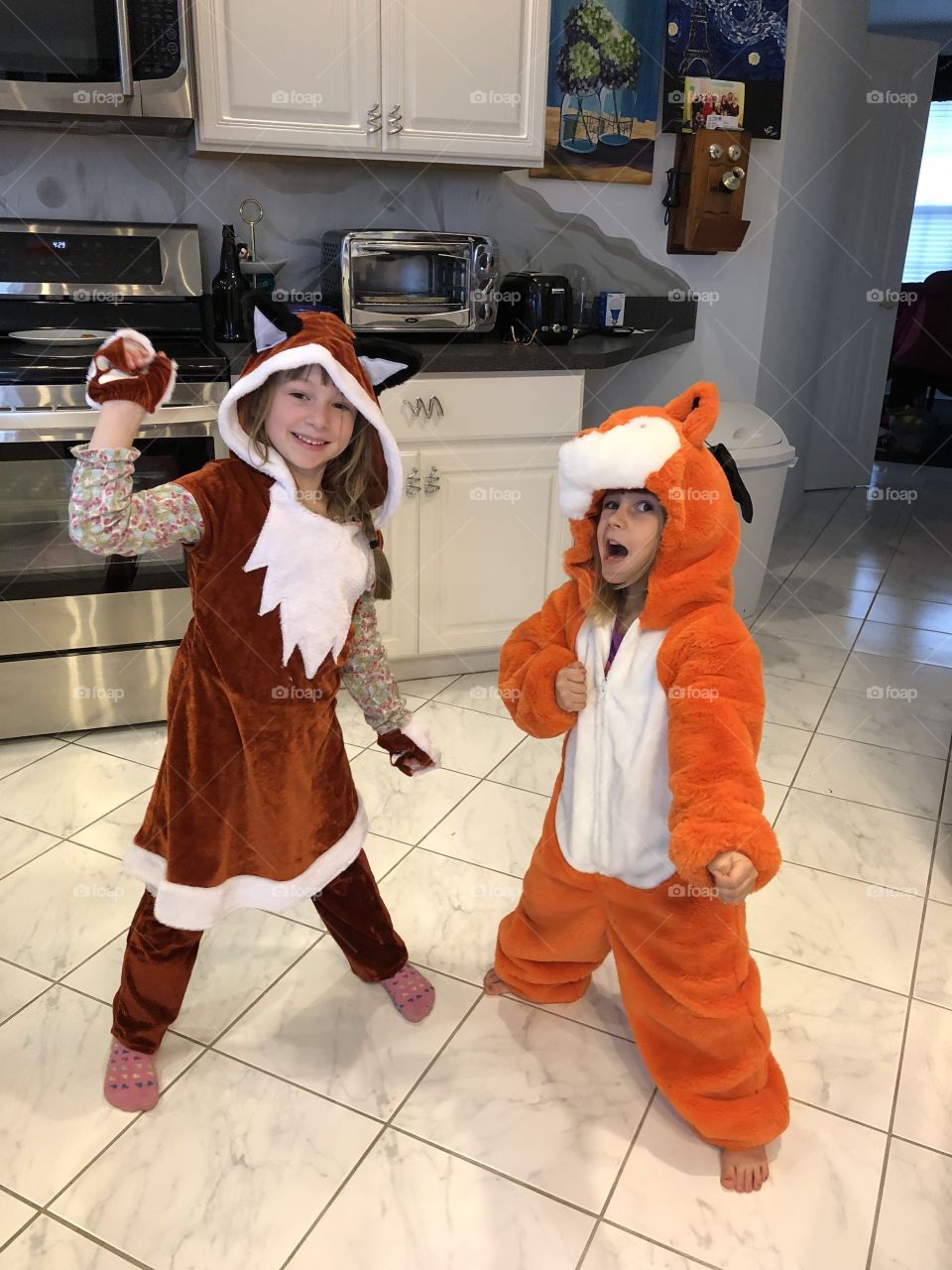 What does the fox say?